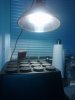 20160326_015043.jpg