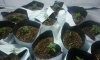 20160326_001828.jpg