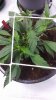 20160326_211659.jpg