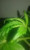 20160327_162605.jpg