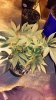 20160328_115325.jpg