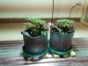20160327_113055.jpg