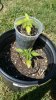 20160329_115725.jpg
