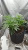 20160330_154028.jpg