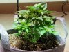 20160330_122813.jpg
