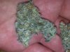 20160330_082641.jpg