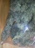 20160330_082618.jpg
