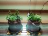 20160401_183556.jpg
