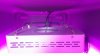 IMG_2403.jpeg