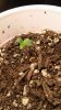 20160403_183418.jpg 20160403_183418.jpg