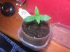IMG_20160323_011114.jpg