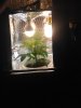 IMG_20160403_223649.jpg