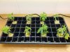 20160405_133928.jpg