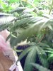 02-11-09_0907.jpg