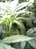 02-11-09_0908.jpg