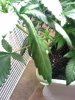 02-11-09_0910.jpg