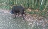 IMG_20160406_152522.jpg