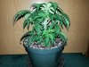 20160407_145014.jpg