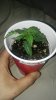 20160410_1200201.jpg