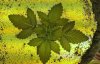 WP_20160411_08_42_13_Rich.jpg