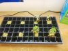 20160411_134106.jpg