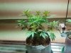 20160411_133915.jpg
