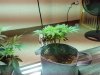 20160411_133919.jpg