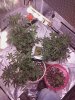 IMG_20160411_200010_noexif.jpg