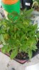 20160412_145915.jpg