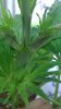 WP_20160416_01_32_34_Pro.jpg