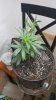 20160416_013652.jpg