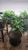 20160416_013647.jpg