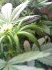 02-11-09_1056.jpg
