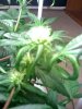 02-11-09_1057.jpg