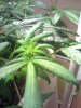 02-11-09_1058.jpg