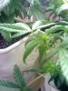 02-11-09_1059.jpg