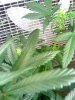 02-11-09_1109.jpg
