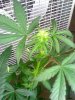 02-11-09_1110.jpg