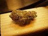 Grow #1 002.jpg