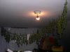 DSCN2126.jpg