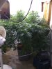 coco updates 020.jpg