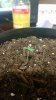 20160418_213251.jpg