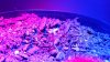 20160418_040921.jpg