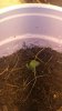 upload_2016-4-19_8-45-5.jpeg