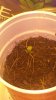 upload_2016-4-19_8-45-51.jpeg