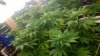WP_20160421_001.jpg