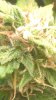 WP_20160421_013.jpg