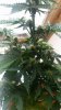 20160422_162138.jpg