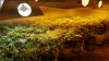 20160320_195148.jpg