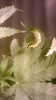 upload_2016-4-23_11-23-7.png